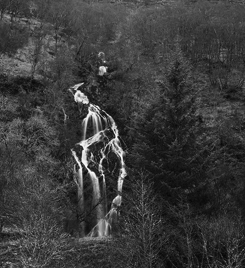 scotland_41