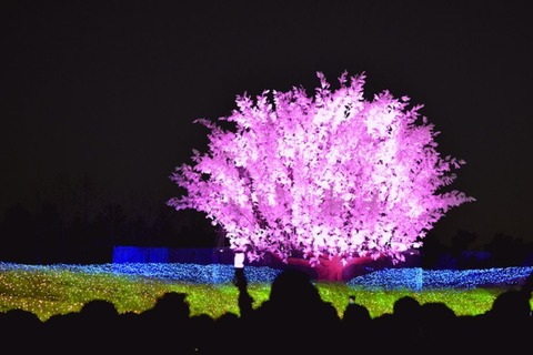 winter-light-festival-in-japan-7