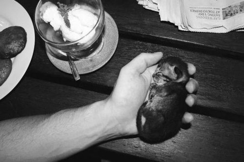 cat-saturday-154
