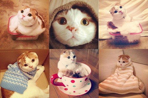 enhanced-buzz-wide-25374-1359143391-22