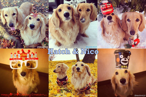 enhanced-buzz-wide-6973-1359046959-12