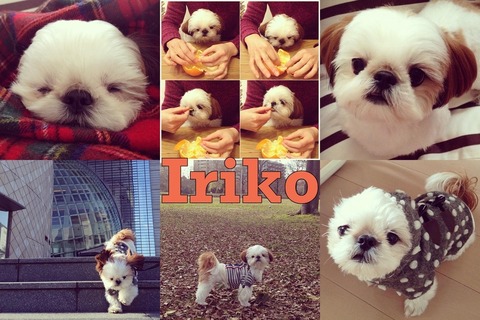 enhanced-buzz-wide-9539-1359143572-30