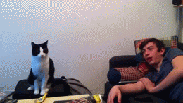 tumblr_mjzn2bqynw1rjcfxro1_400