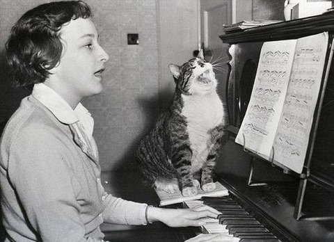 cat-saturday-124