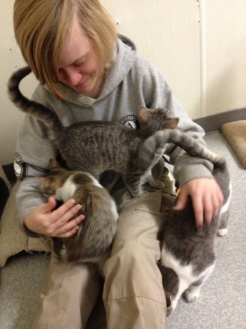 cats_mans_best_friend_7