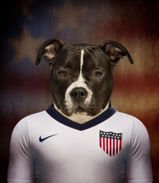 Fifaワールドカップ各国代表に わんこメンバーがいたらこうなりますw リトルトリップ Fifaワールドカップ各国代表に わんこメンバーがいたらこうなりますw リトルトリップ