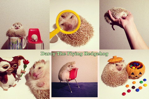 enhanced-buzz-wide-6981-1358999262-3