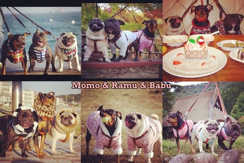 enhanced-buzz-wide-14649-1359221086-8