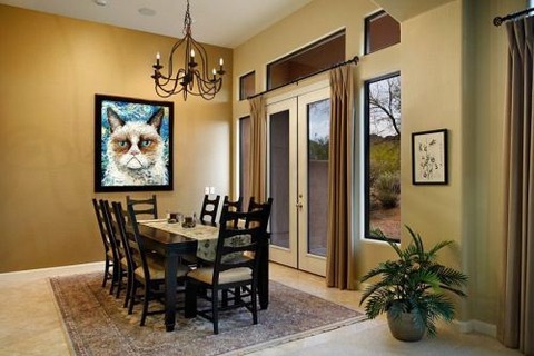 cat-saturday-34