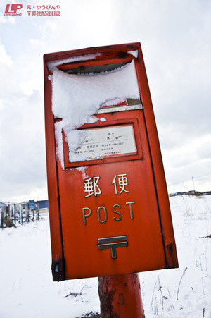 �ز�Į2012_873