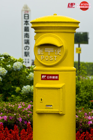 DSC_70541