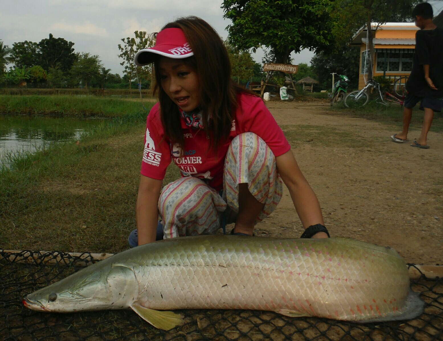 タイ王国 釣り堀天国釣行記4 アマゾンbkkで初ピラルクーと感動のご対面編 新 ゆうちょんの釣りブログ