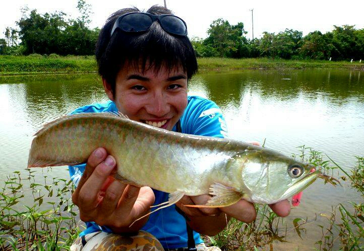 タイ王国 釣り堀天国釣行記4 アマゾンbkkで初ピラルクーと感動のご対面編 新 ゆうちょんの釣りブログ