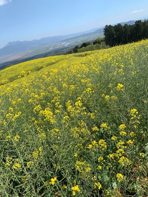 image4_