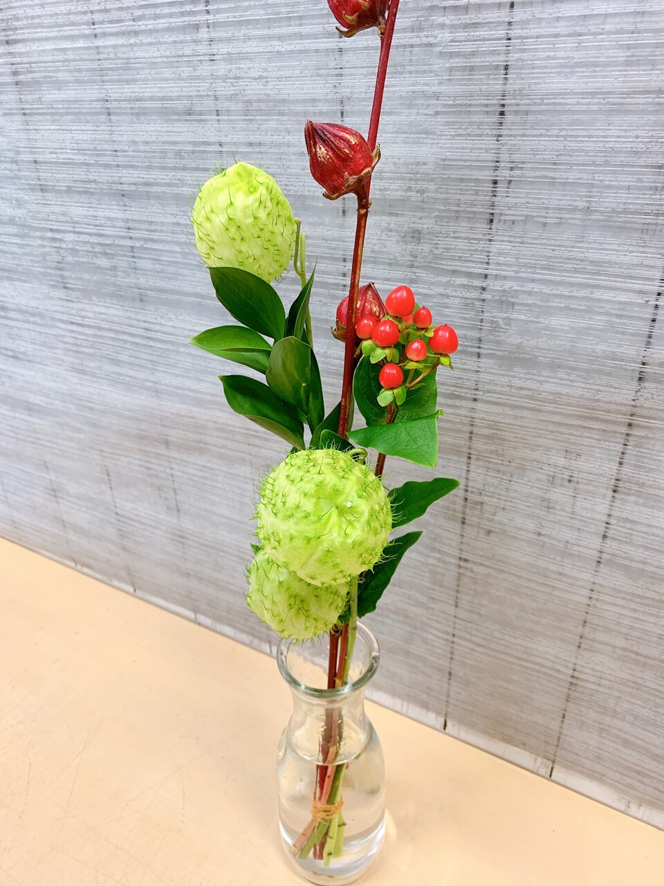 35 フウセントウワタ 風船唐綿 雄苑のオフィシャルblog