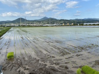 IMG_7920