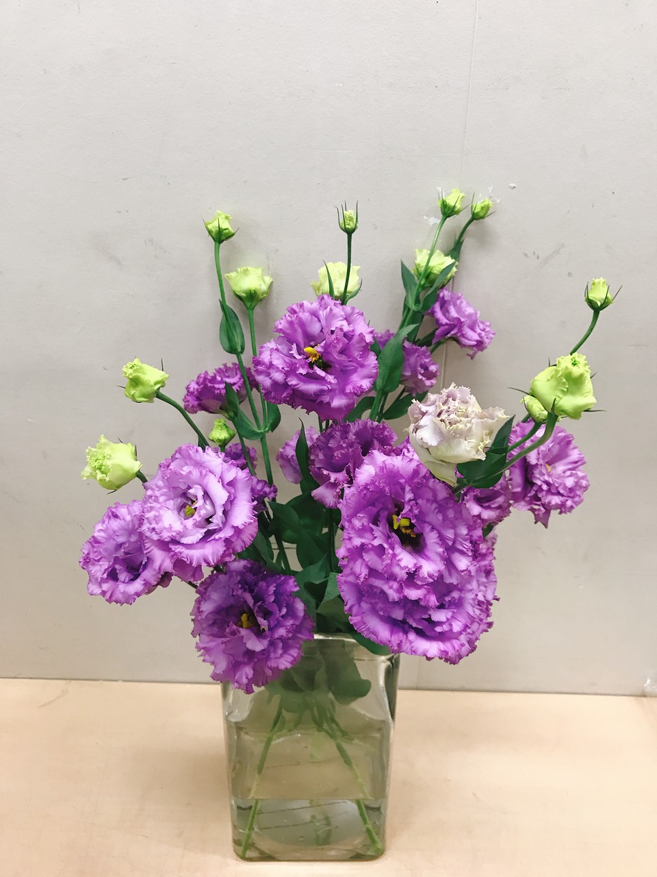 11月のお花 13 トルコギキョウ 雄苑のオフィシャルblog