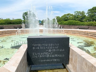 IMG_6879