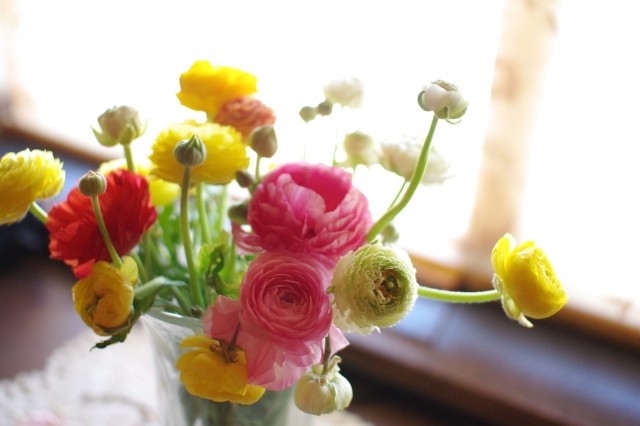 3月のお花 ラナンキュラス 雄苑 花工房フルールのblog 3月のお花 ラナンキュラス 雄苑 花工房フルールのblog