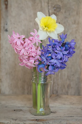 flowers-1355169_960_720