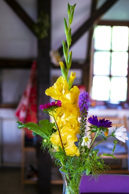 65 グラジオラス 雄苑のオフィシャルblog