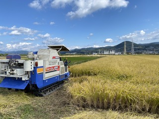 IMG_0899