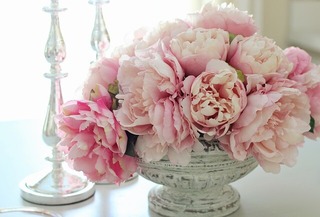 peonies-3473156_640