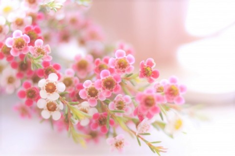 8678fd330e0172bcc91fd1bb4e17dce4_s