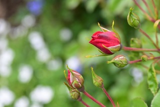 5197738_s (1)