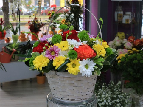 flower-3045144_1920