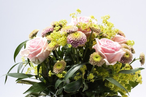 roses-373793_1920