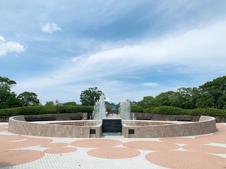 IMG_6880