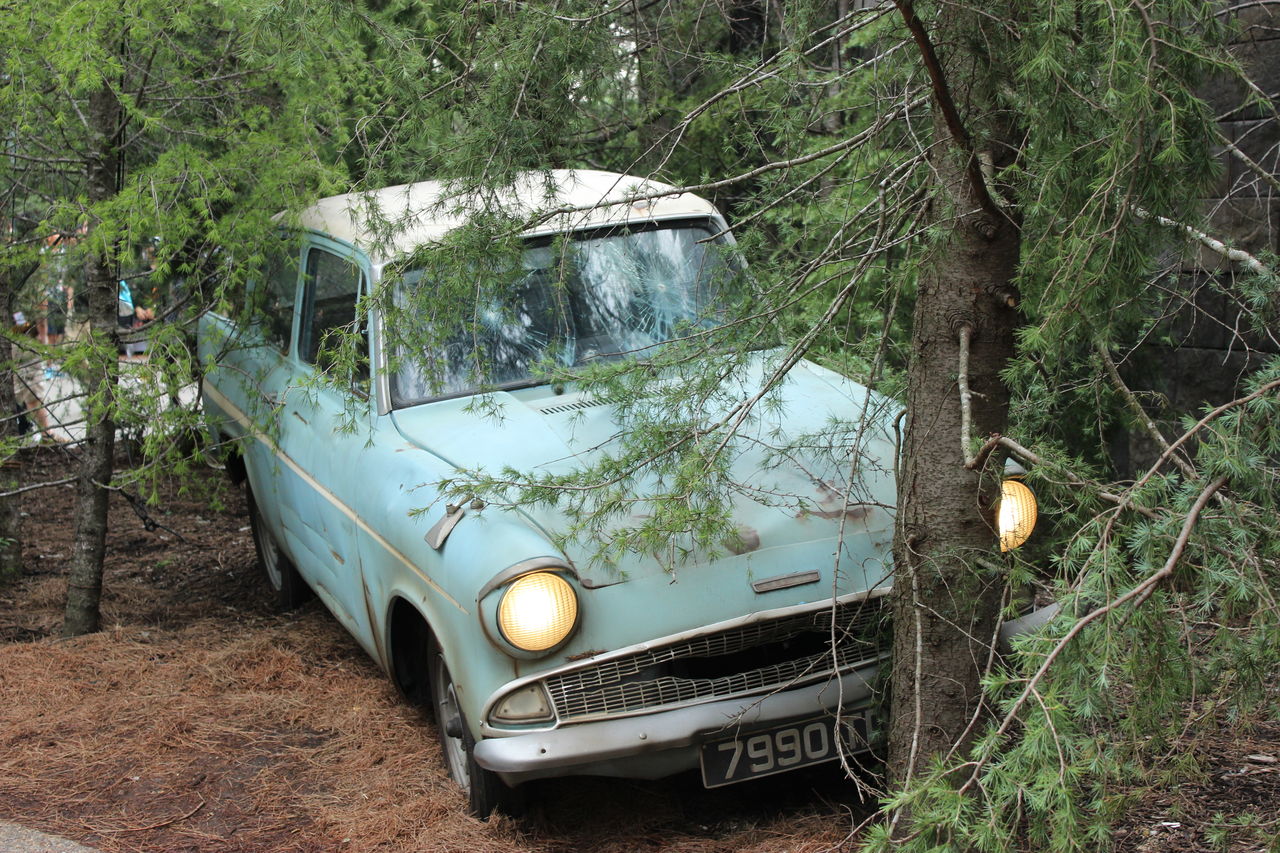 初のusj 2日目 私のひととき