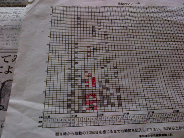 さくらのにぎやか毎日 胎動カウントと貧血