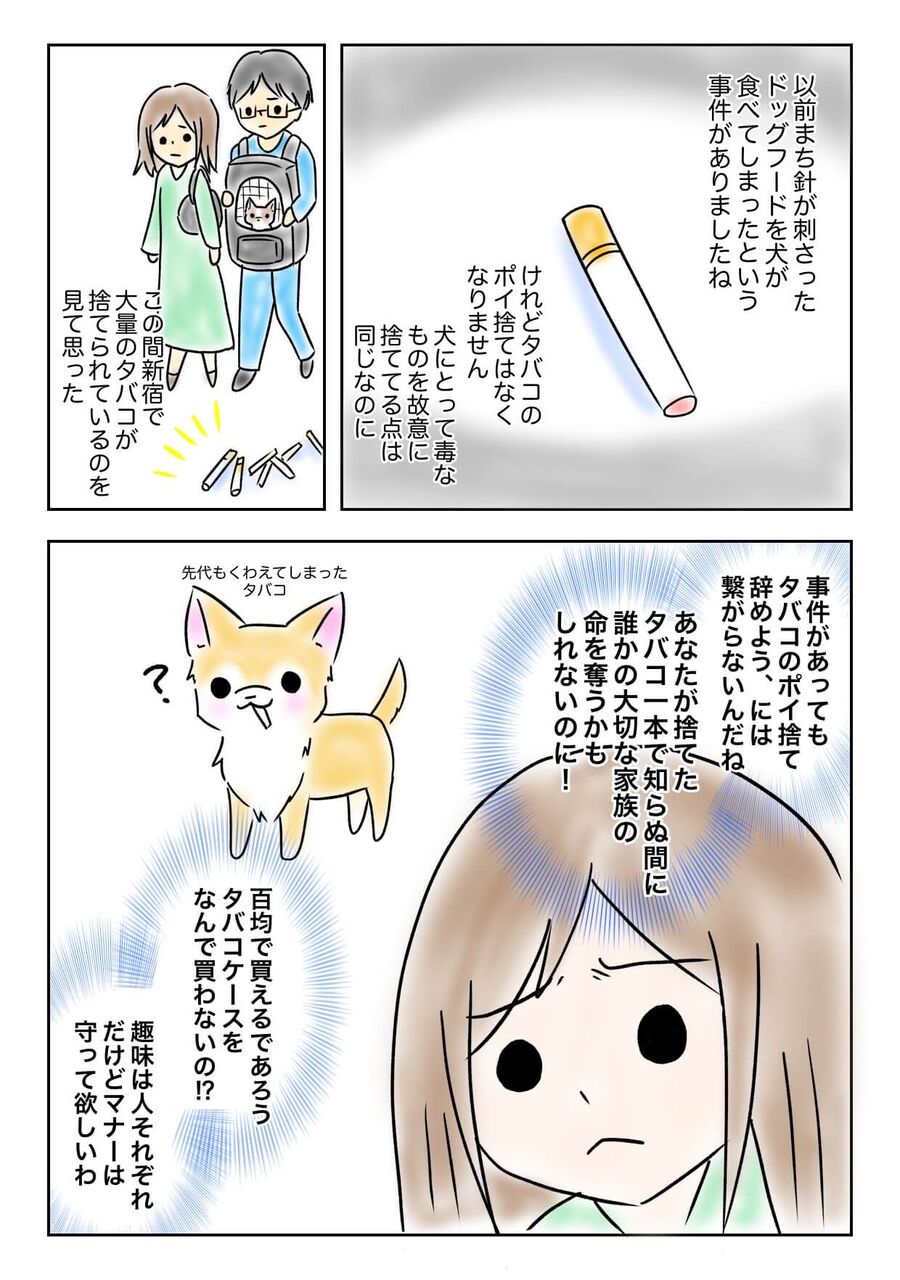 チワワ漫画日記３ 番外編 ポイ捨てについて チワワのトウナ だいありー