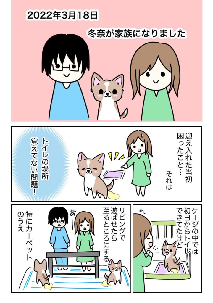 チワワ漫画日記１ トイレトラブル チワワのトウナ だいありー