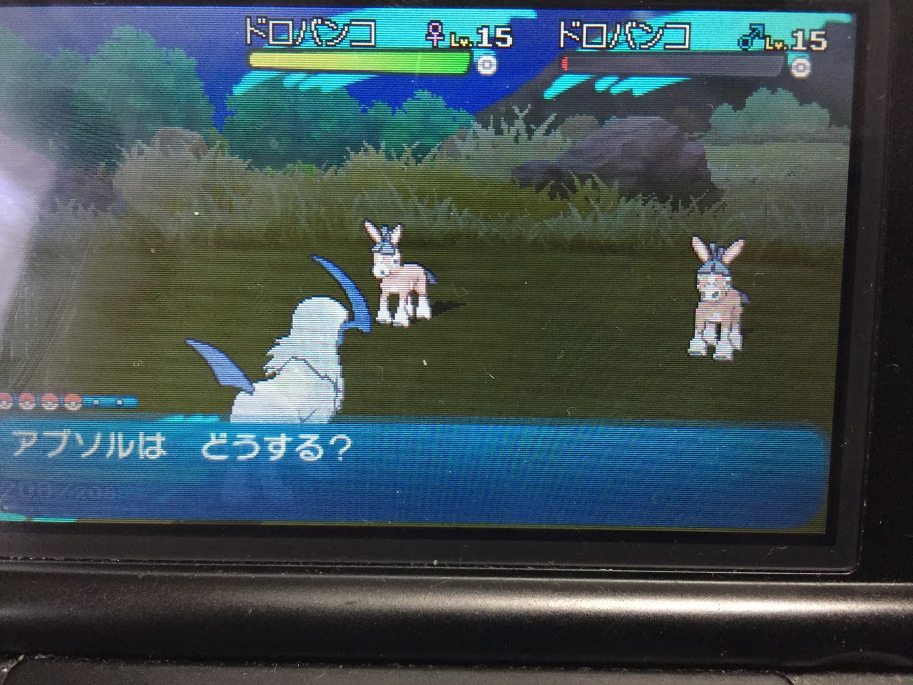 ポケモンでレートを始めたい方へ 基本編 スカラ 育成日記 サンムーン版