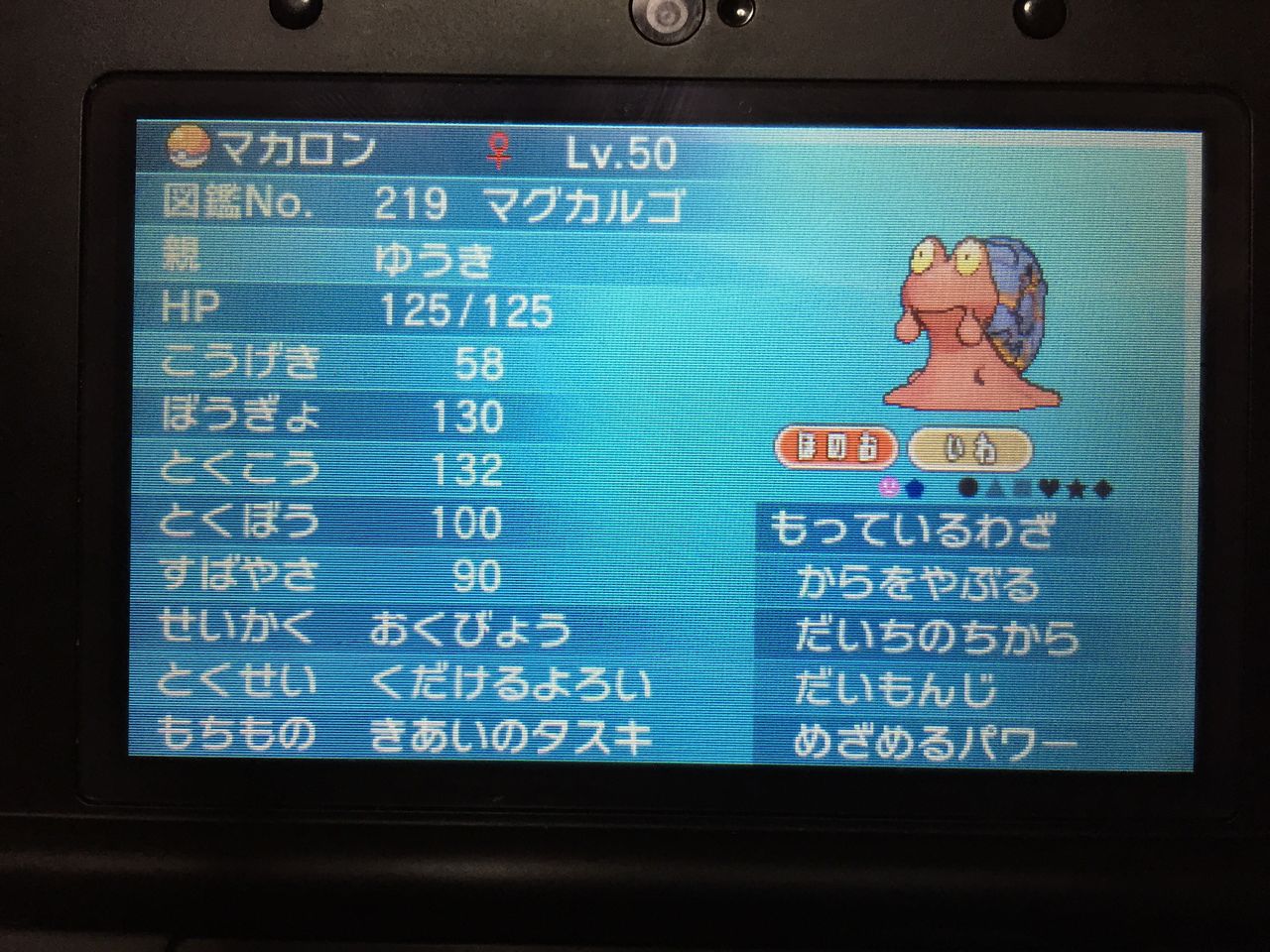 マグカルゴ研究所 考察 スカラ マイナー育成日記