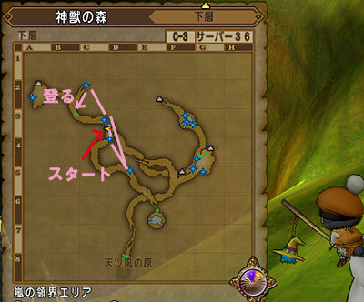 神獣の森キラキラマラソンmap Ver3 5前期 ゆうきりんりん