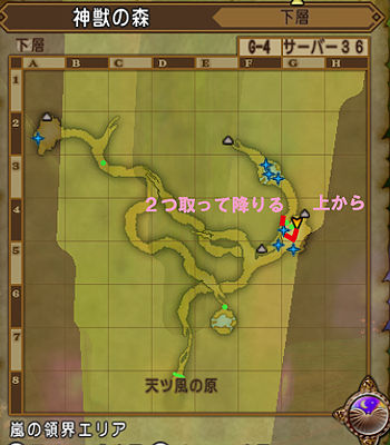 神獣の森キラキラマラソンmap Ver3 5前期 ゆうきりんりん