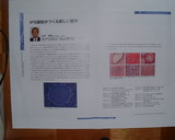 »³Ãæ¶µ¼ø¡¼£±