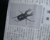 ���ȥ饹�������֥�