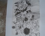 �ƻ�ɱ����