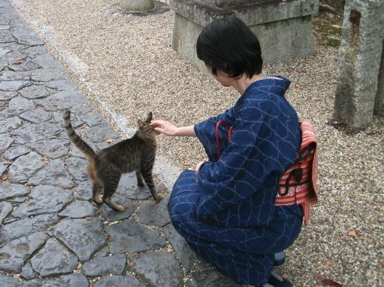 奈良散歩 猫さん鹿さんがお出迎え 四十代で楽しむ普段着物