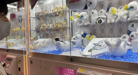 AB996E66-DA42-4272-88D3-84878725FB06