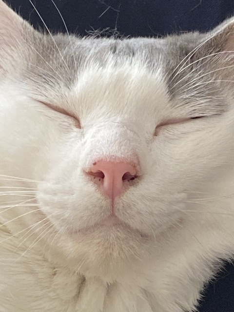 B833D8A6-009E-4E71-AFD0-6BAB84645D9B