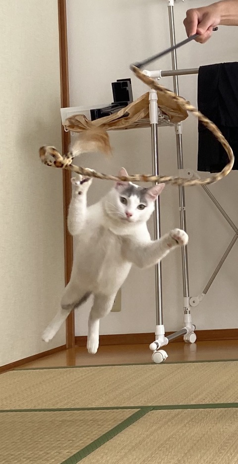 998FDE59-8F0F-40BC-ABA6-102EBB94D4B6