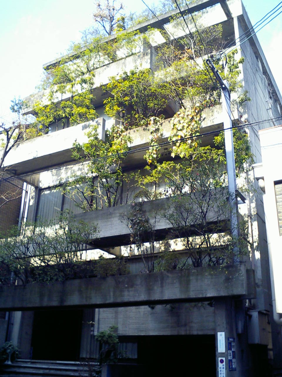 日本名建築の美 その心と形 西澤文隆 日本名建築の美 | 西澤 文隆 |本 | 通販 | Amazon