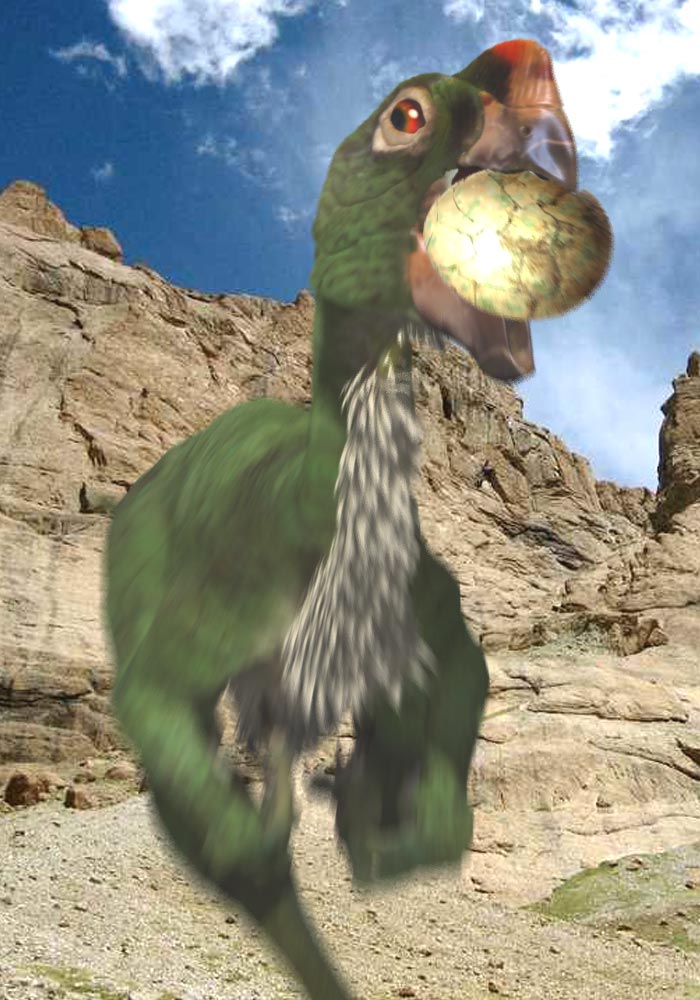 オビラプトル Oviraptor Boycraft Blog