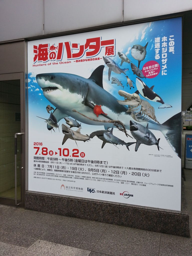 海のハンター展 感想 Boycraft Blog